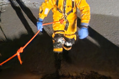Ice rescue 2024