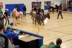 Donkey basketball fundraiser January 2020