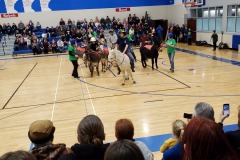 Donkey basketball fundraiser January 2020