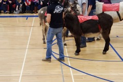 Person standing on gymnasium floor — donkey basketball fundraiser January 2020