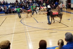Donkey basketball fundraiser January 2020