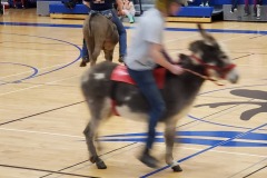 Motion-blurred basketball game — donkey basketball fundraiser January 2020