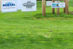 Sponsor signs on lawn — golf scramble fundraiser September 2025