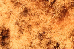 Propane burn training November 2025