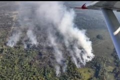 County Road 11 wildland fire 2023